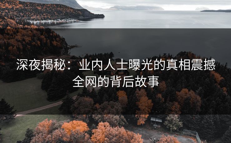 深夜揭秘：业内人士曝光的真相震撼全网的背后故事